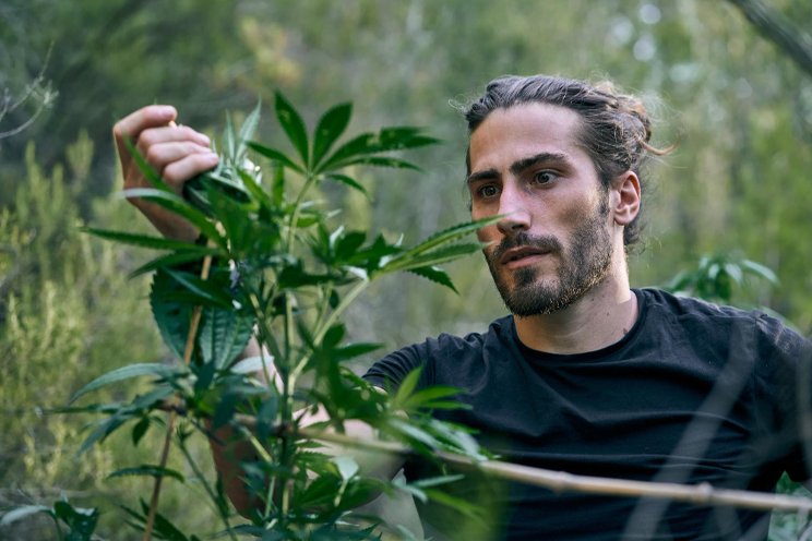 Missouri colleges expand cannabis programs Missouri colleges expand cannabis programs