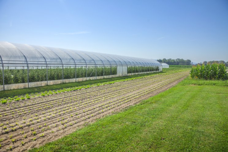 New PEI agriculture program receives $300K New PEI agriculture program receives $300K