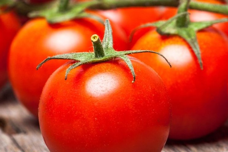 Model predicts effect of cultivation measure on tomato taste