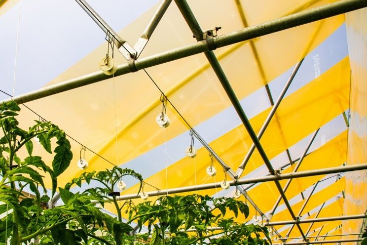 UbiQD launches greenhouse films for UbiGro UbiQD launches greenhouse films for UbiGro