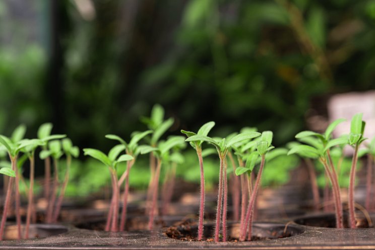 These 5 small farm ideas are astonishingly profitable These 5 small farm ideas are astonishingly profitable