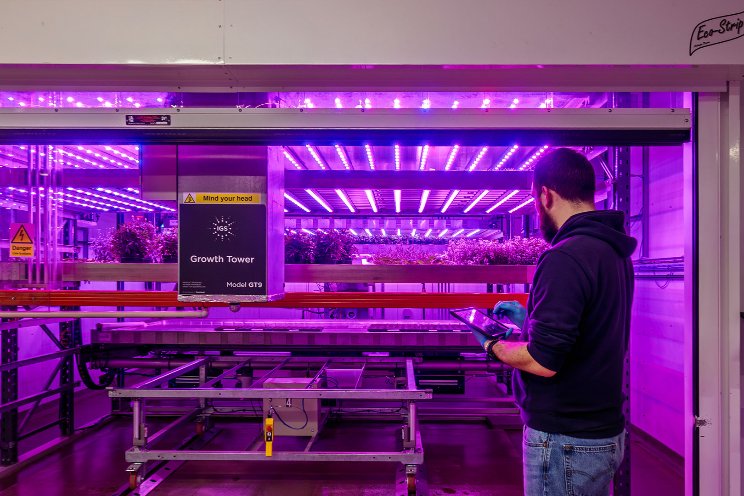 How modular vertical farming technology benefits growers How modular vertical farming technology benefits growers