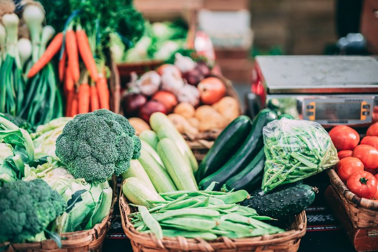 New guide to vegetable production in Ontario New guide to vegetable production in Ontario