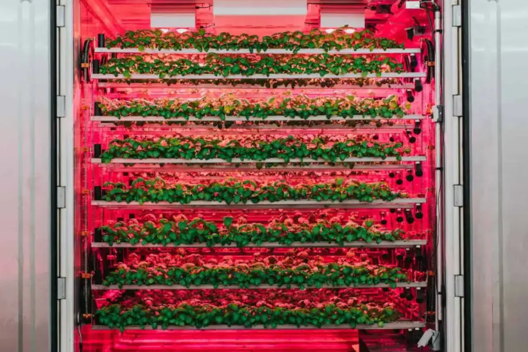 CubicFarms: HydroGreen’s enters Irish market