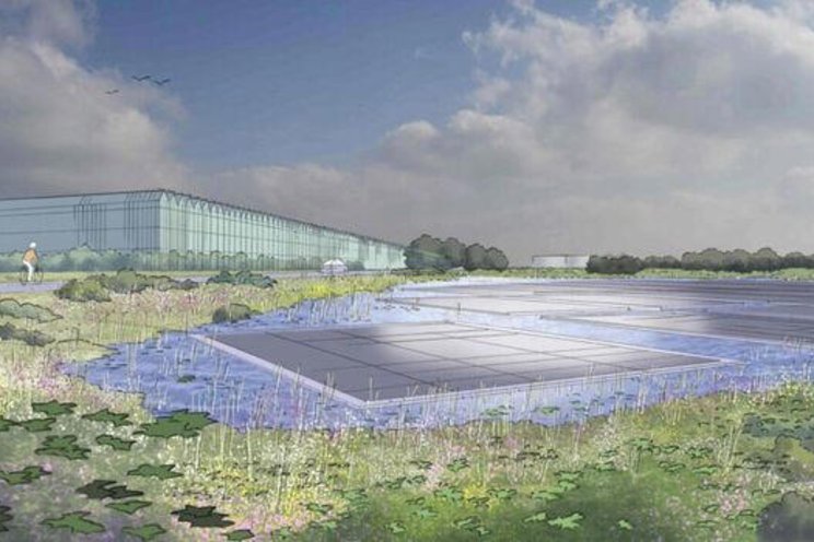 UK nation's one-stop shop for tomatoes with mega 100-acre greenhouse UK nation's one-stop shop for tomatoes with mega 100-acre greenhouse