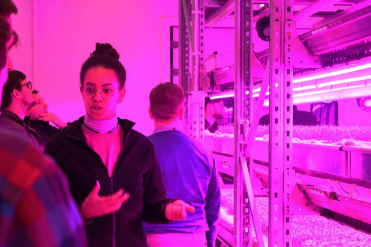 Aeroponic Rolling Benches showcased at Stockbridge Tech Centre