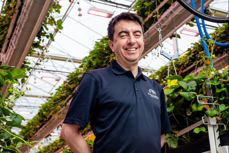 Sunterra Greenhouses partners with Philips LED lighting team