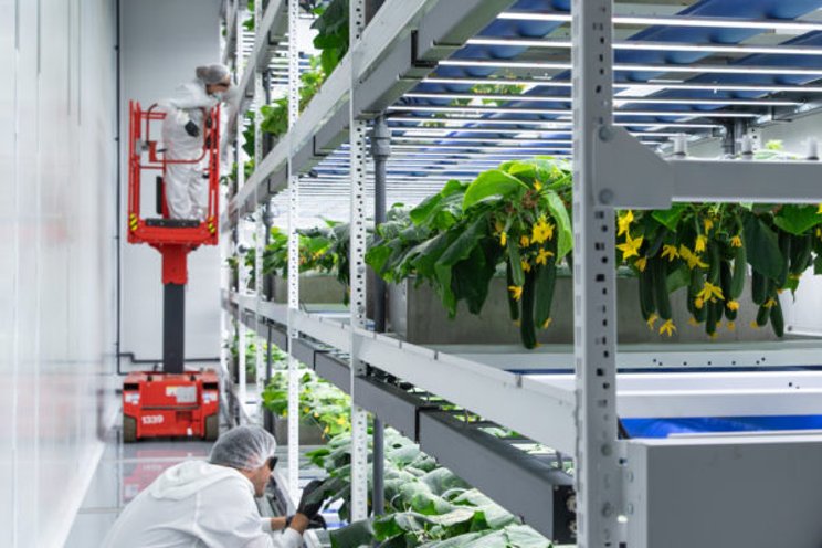 Grow-Tec from Israel growing more than leafy greens Grow-Tec from Israel growing more than leafy greens
