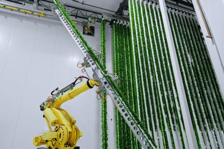How technology is changing the future of agriculture How technology is changing the future of agriculture