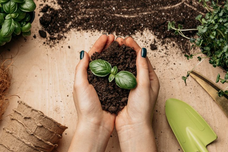 Urban agriculture allows people to balance their lives Urban agriculture allows people to balance their lives