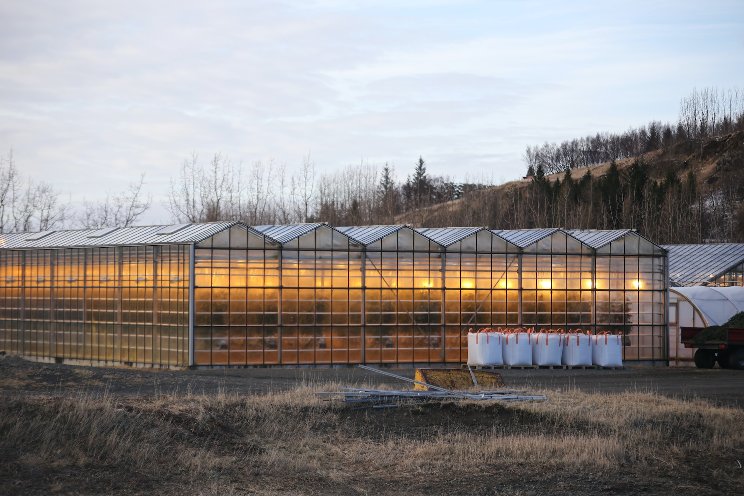 The latest updates on greenhouse lighting systems