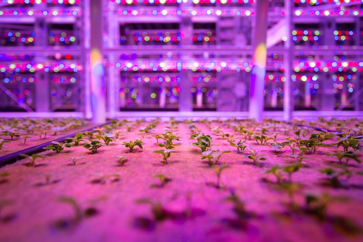 Energy costs spell 'lights off' for vertical farms
