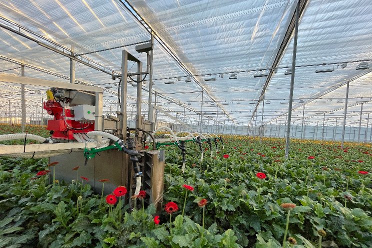 Entomatic, saving labour while delivering even distribution Entomatic, saving labour while delivering even distribution