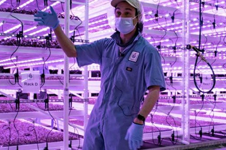 Biosecureobile vertical grow racking systems