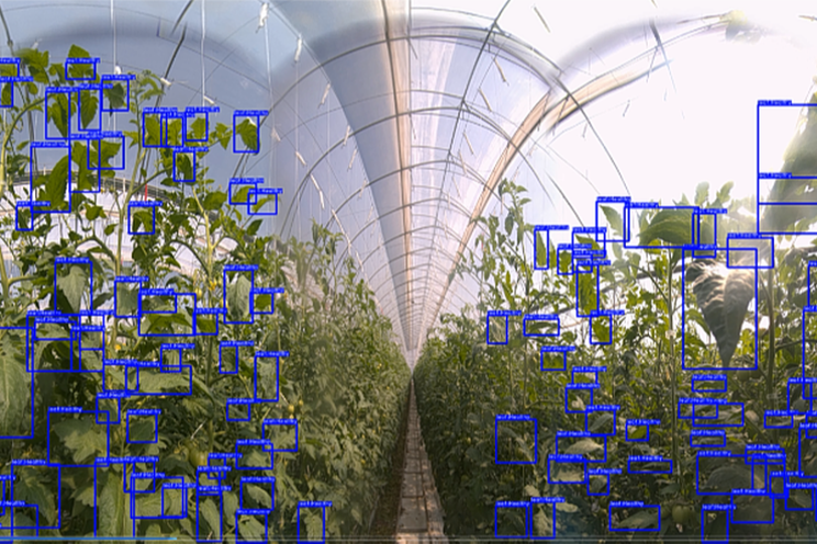 Computer imaging for early detection of greenhouse diseases Computer imaging for early detection of greenhouse diseases