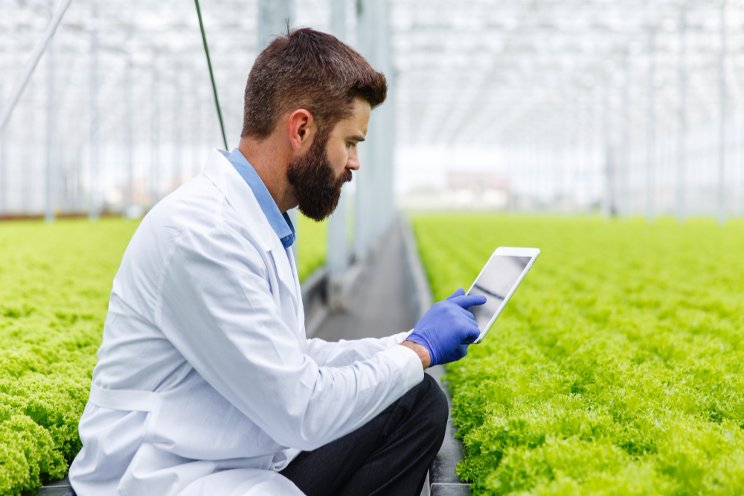 Real-time greenhouse sensors can reduce crop loss