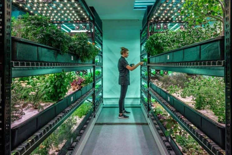 Feeding the future: The most innovative VF companies Feeding the future: The most innovative VF companies