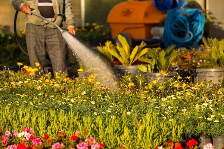 A holistic approach to greenhouse water management A holistic approach to greenhouse water management