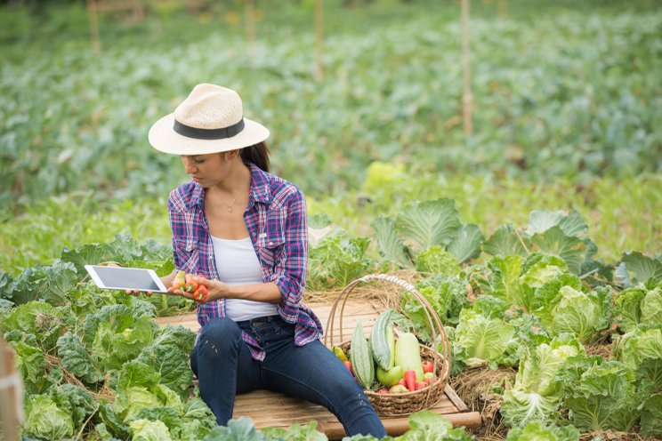 CEA Food Safety Coalition expands focus CEA Food Safety Coalition expands focus