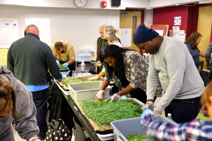 New community farms to provide fresh food access New community farms to provide fresh food access