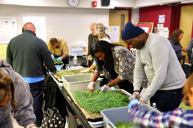 New community farms to provide fresh food access