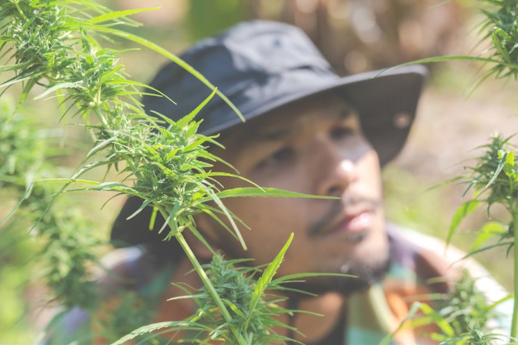 Will growing medical marijuana for personal use be allowed? Will growing medical marijuana for personal use be allowed?