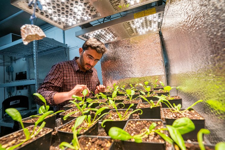Texas A&M AgriLife seeks input on CEA
Texas A&M AgriLife seeks input on CEA