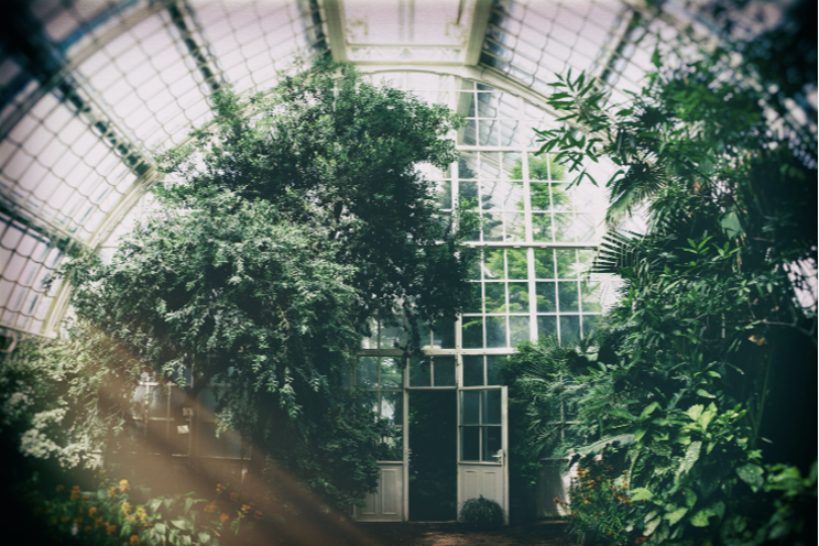 Offsite greenhouse data is a game-changer