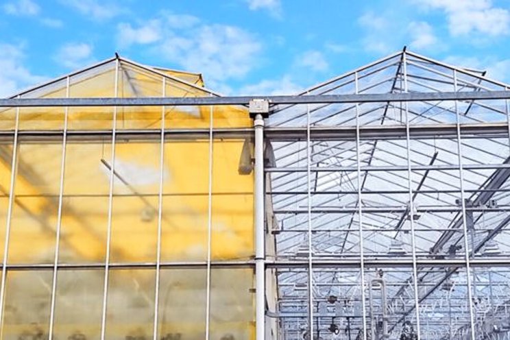 6 types of greenhouse poly film coverings
