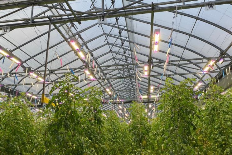 How LED dynamic lighting contributes to pest management