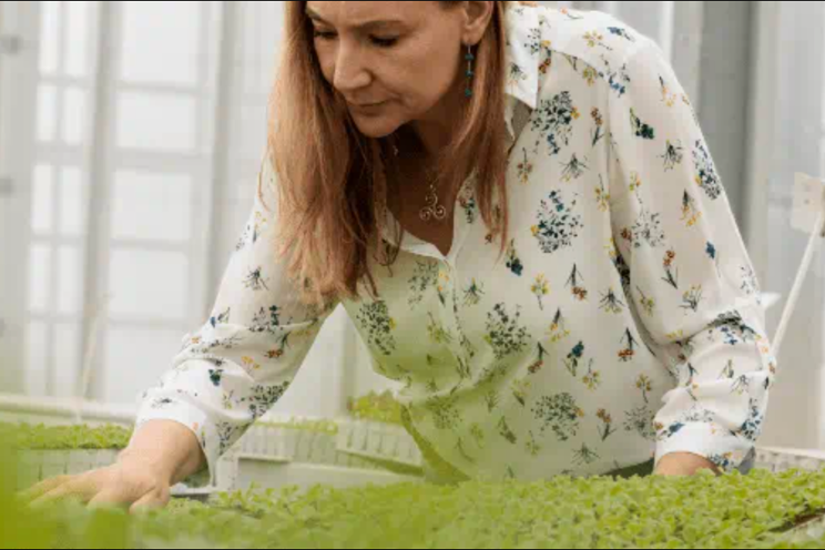 Varieties tailored for every climate Varieties tailored for every climate