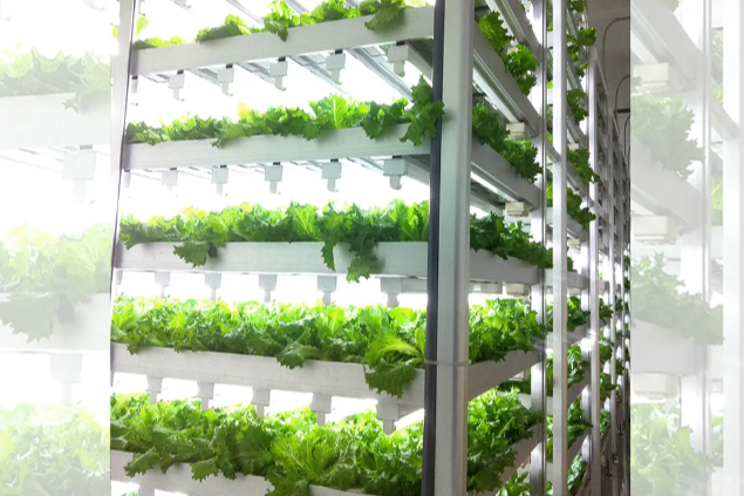 Where can you get accurate info about indoor farm production?