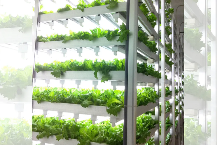 Where can you get accurate info about indoor farm production? Where can you get accurate info about indoor farm production?