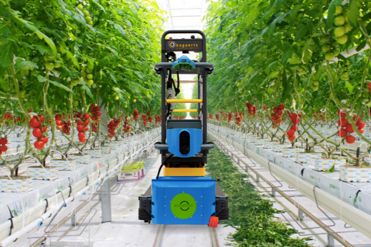 The greenhouse robot revolutionizing IPM and yield forecasting