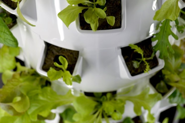 Marc Walraven on solving food deserts one vertical farm at a time Marc Walraven on solving food deserts one vertical farm at a time
