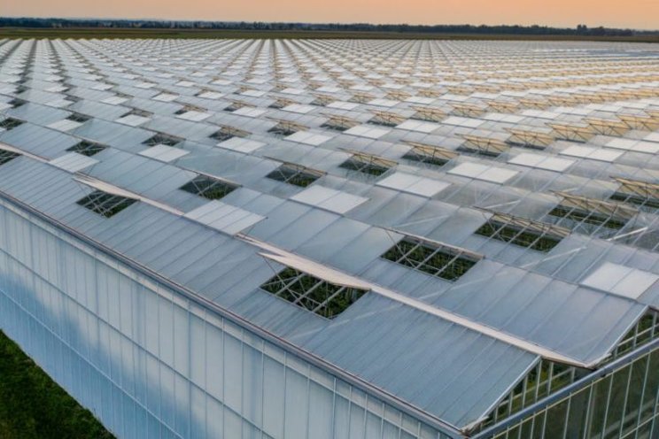 Why humidity can make or break your greenhouse environment