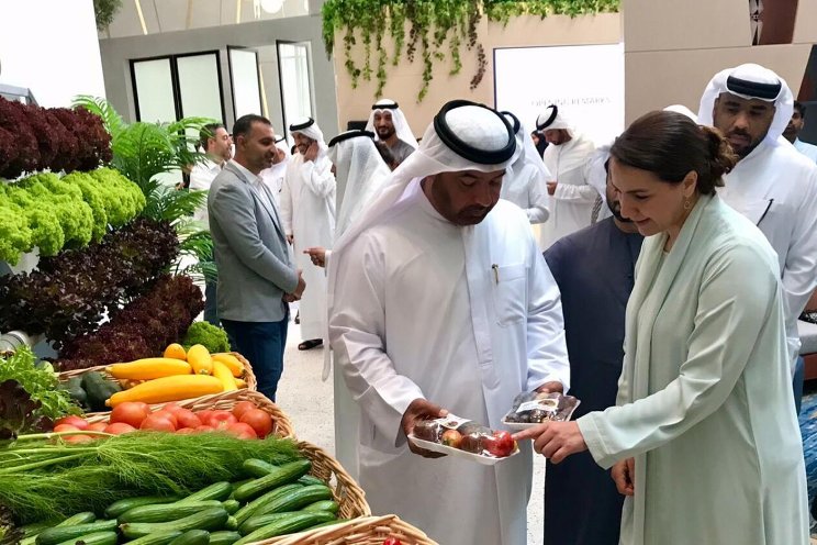 UAE aims to get 50% basic food from local farms