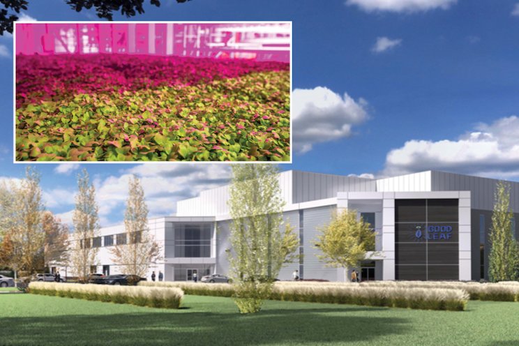 Indoor ‘mega-farm’ in Calgary getting even bigger Indoor ‘mega-farm’ in Calgary getting even bigger