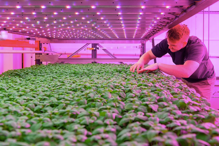 Scotland’s renewable energy boosts VF’s green credentials Scotland’s renewable energy boosts VF’s green credentials