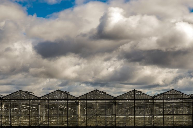 Sign up for a virtual course on greenhouse environment