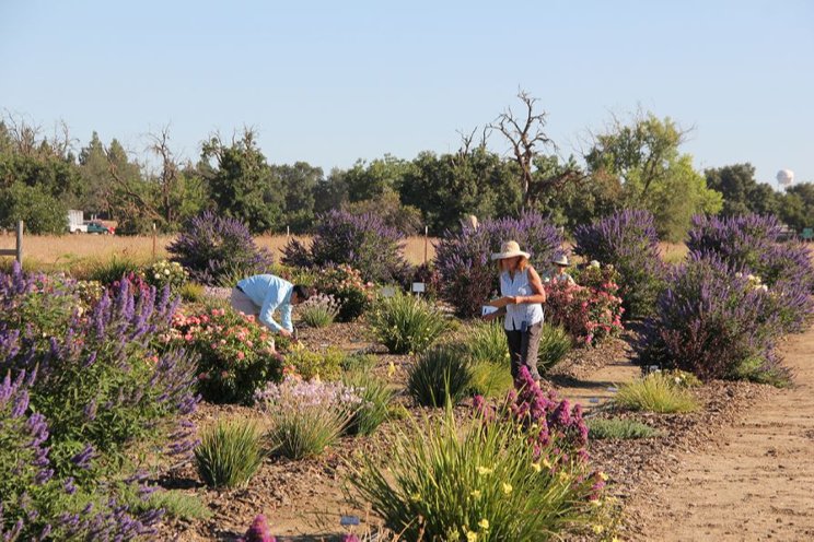 Growers responding to water challenges