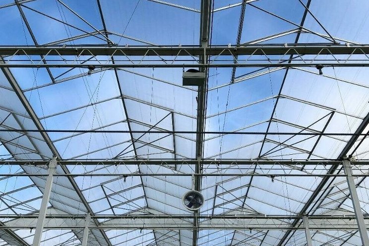 Shedding light on diffused glass vs clear glass
Shedding light on diffused glass vs clear glass