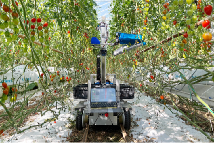 Use of AI-based robots on the rise in Japanese agri