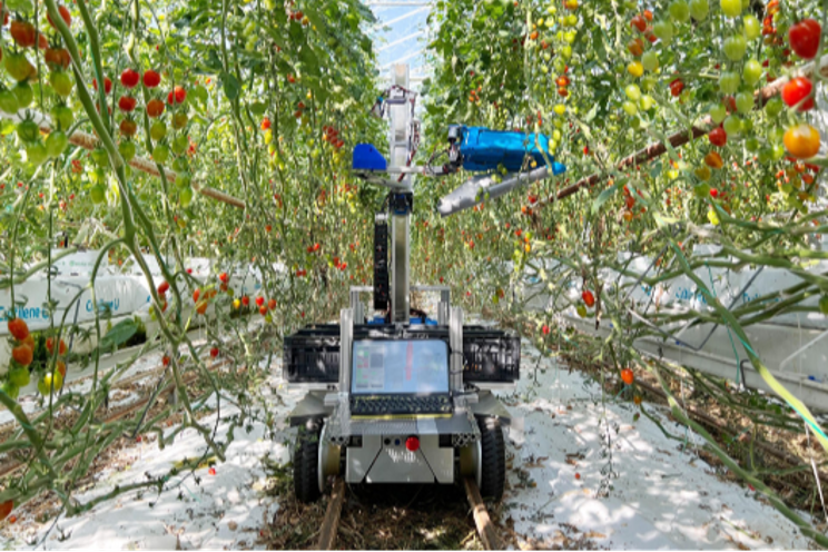 Use of AI-based robots on the rise in Japanese agri Use of AI-based robots on the rise in Japanese agri
