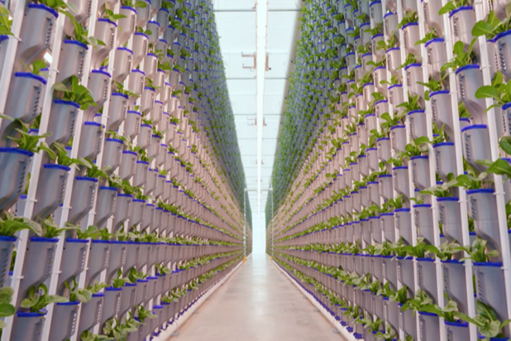 Eden Green opens first phase of $47M vertical farm