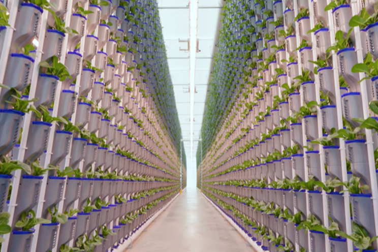 Eden Green opens first phase of $47M vertical farm Eden Green opens first phase of $47M vertical farm