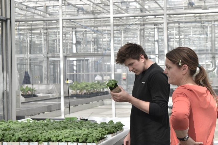LettUs Grow partner with WUR to develop aeroponics LettUs Grow partner with WUR to develop aeroponics