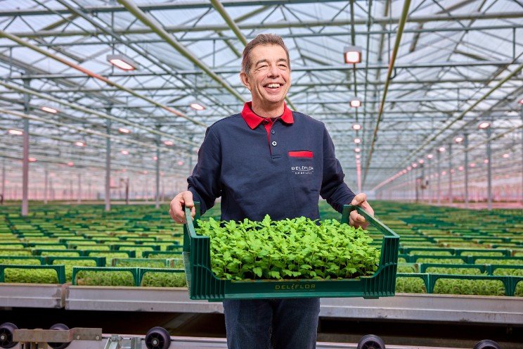 Intelligent Philips LED solution helps Deliflor Hoogveld Intelligent Philips LED solution helps Deliflor Hoogveld