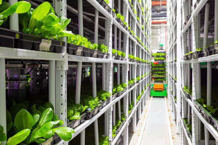 How VF and agtech can help address food insecurity