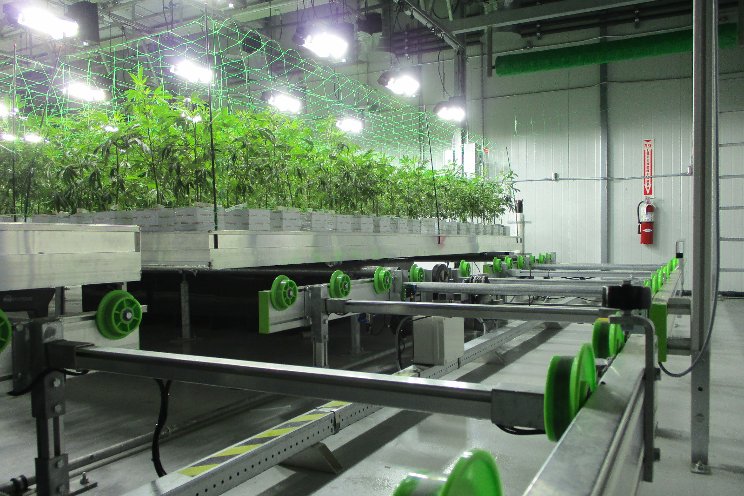 Selecting the right design for your cannabis facility Selecting the right design for your cannabis facility
